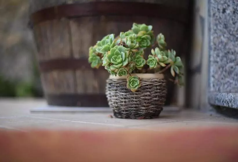 B&b Dei Fiori