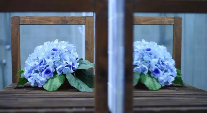 B&b Dei Fiori