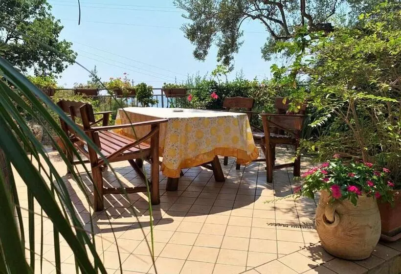 B&b Dei Fiori