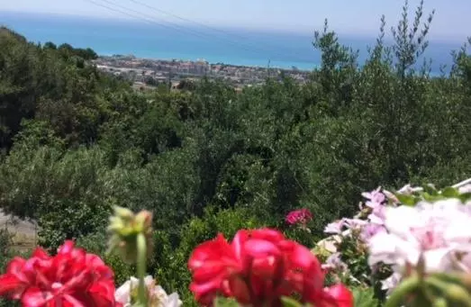 B&b Dei Fiori