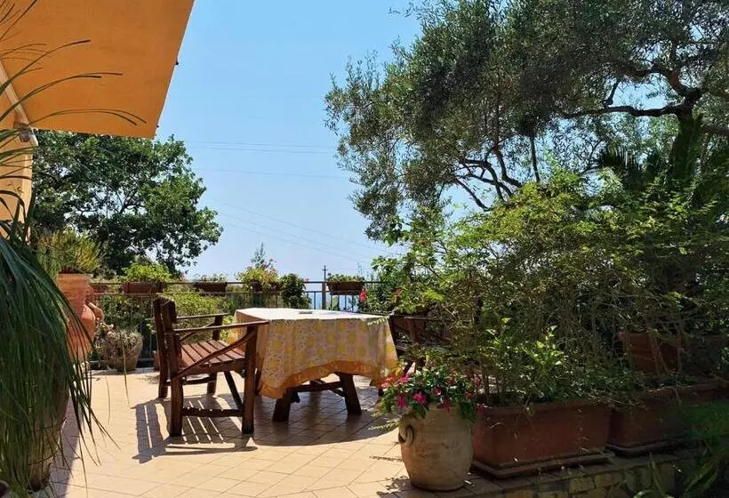 B&b Dei Fiori