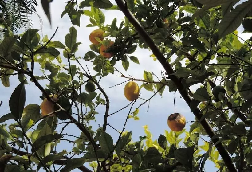 Bed & Breakfast Ospiti A Corte