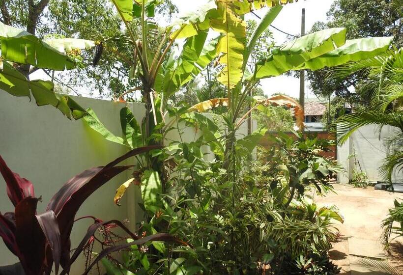 Hotel Alleppey Beach Garden