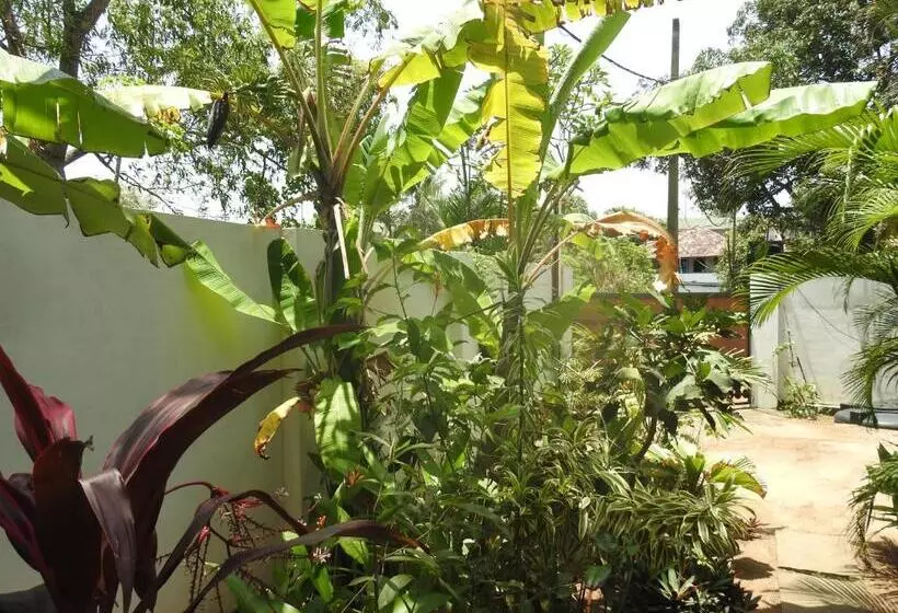 Hotelli Alleppey Beach Garden