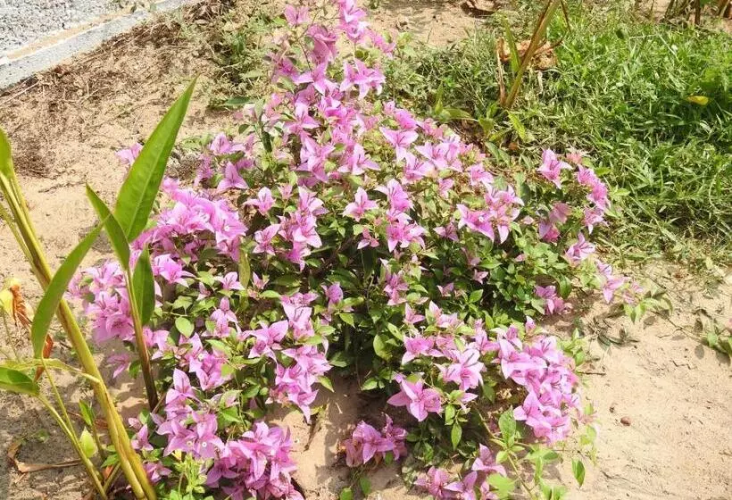 Hotelli Alleppey Beach Garden