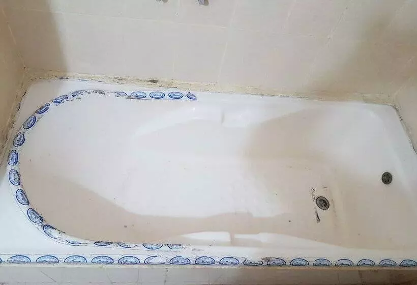 Hotelli Dhruv Palace