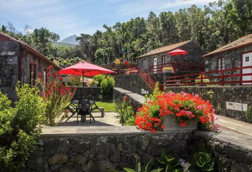 リゾートホテル Aldeia Das Adegas