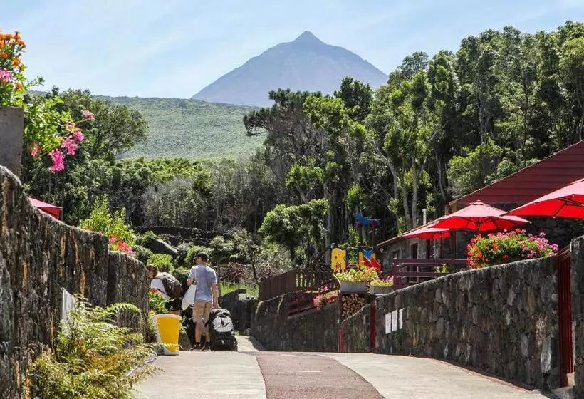 リゾートホテル Aldeia Das Adegas