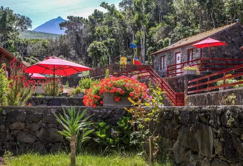 リゾートホテル Aldeia Das Adegas