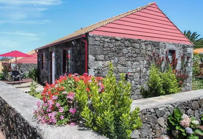 リゾートホテル Aldeia Das Adegas