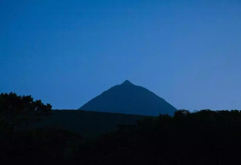 リゾートホテル Aldeia Das Adegas