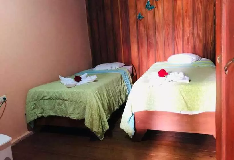 تختخواب و صبحانه Cabinas Lupita