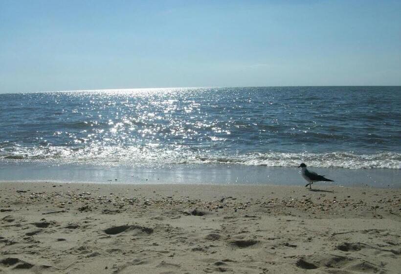 汽车旅馆  Boardwalk Beach Inn