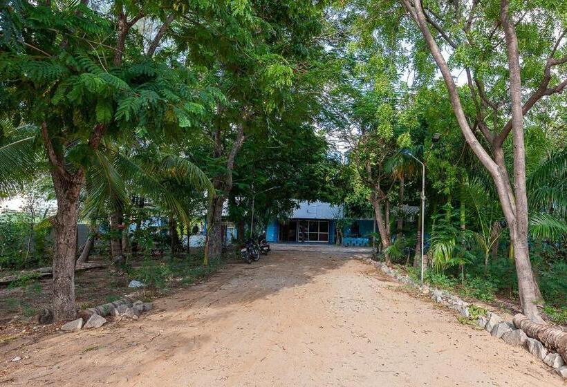 Collection O Ammayi Hotels & Resorts