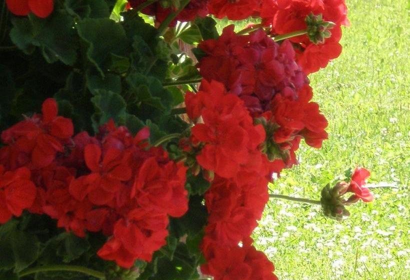 צימר Oberlechnerhof