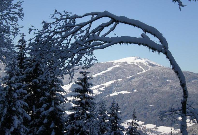 צימר Oberlechnerhof