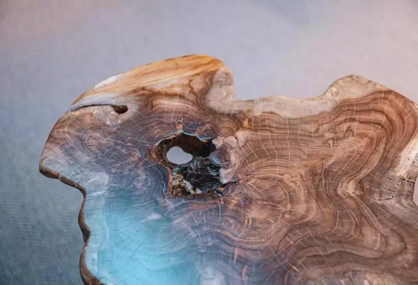 Hotelli Alpen Suites Brandnertal