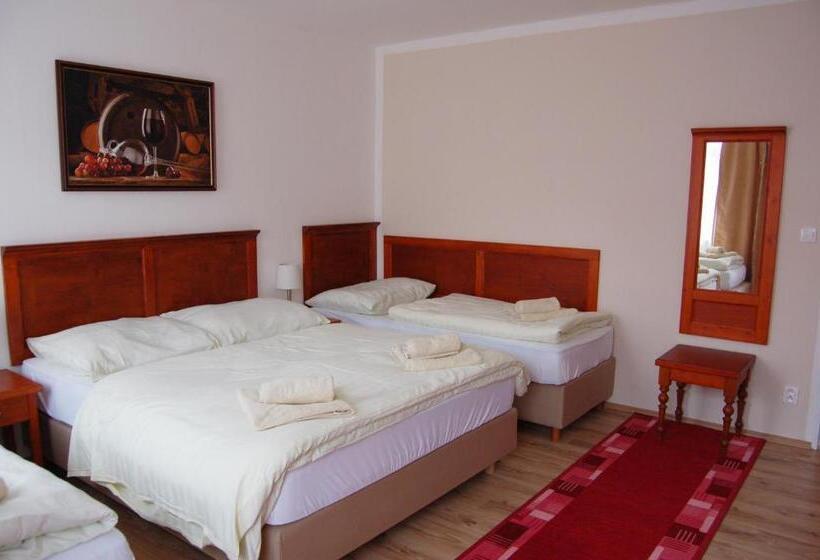 هتل Aurelius Mikulov