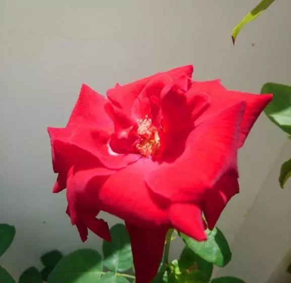 هتل Hung Phuc Mui Ne