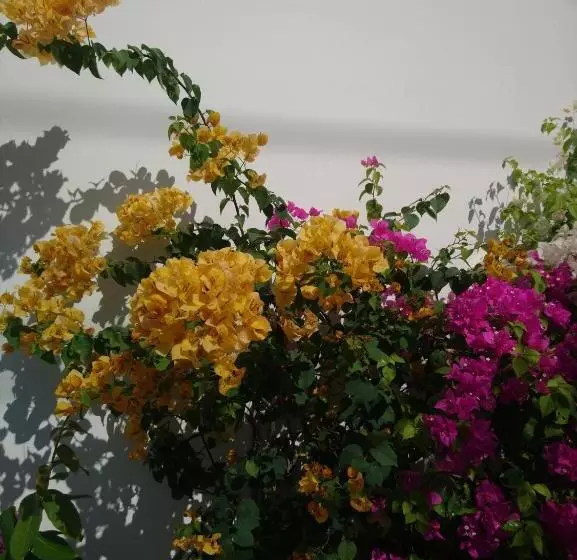 هتل Hung Phuc Mui Ne