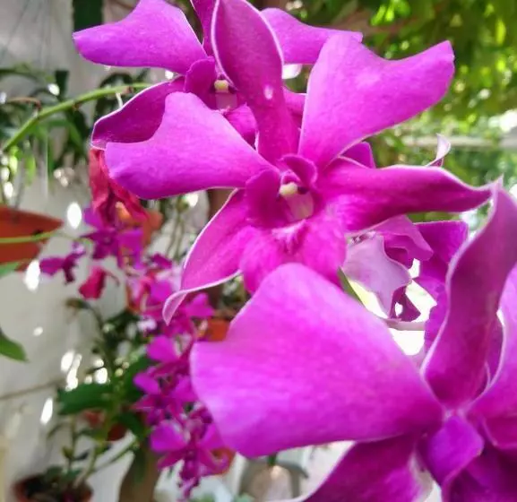 هتل Hung Phuc Mui Ne