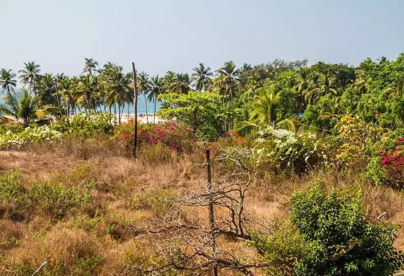 Praia Da Oura   Boutique Resort