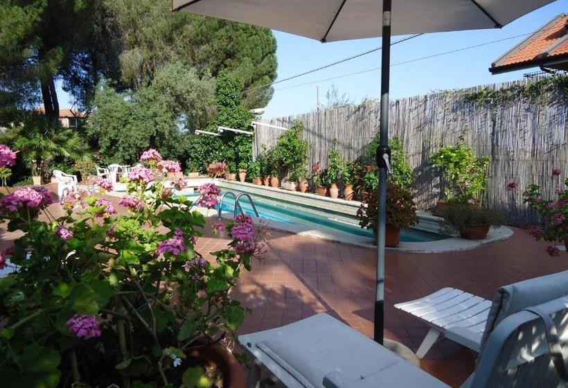 B&b Cottage Dei Consoli