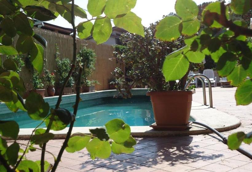 B&b Cottage Dei Consoli