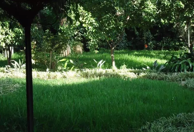 B&b Cottage Dei Consoli