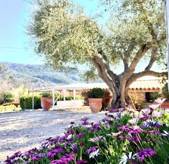 ベッドアンドブレックファースト Bastide De Fontvieille