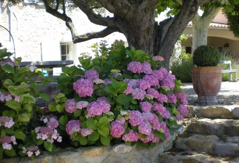 ベッドアンドブレックファースト Bastide De Fontvieille
