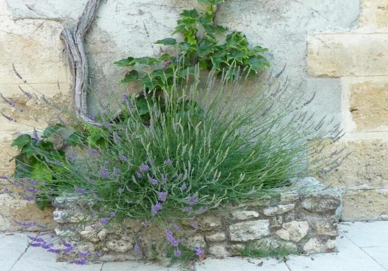 민박 Le Mas Des Vergers