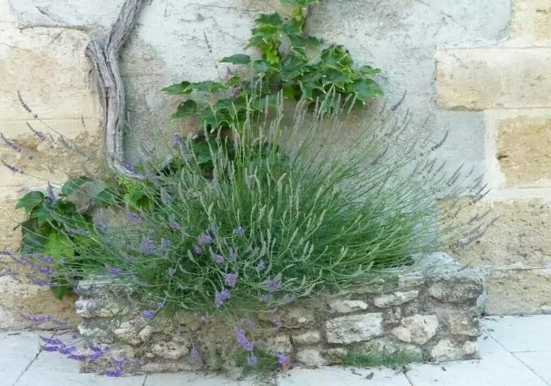 Aamiaismajoitus (B&B) Le Mas Des Vergers