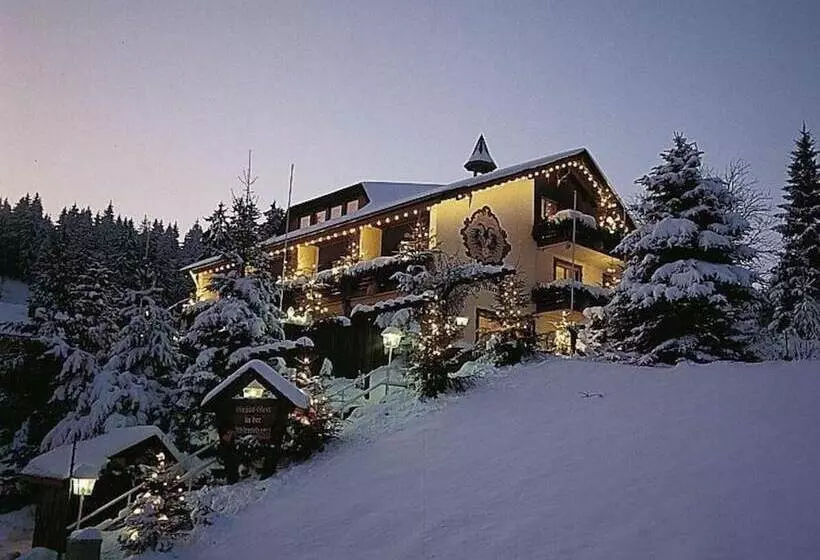 Hotelli Adlerschanze