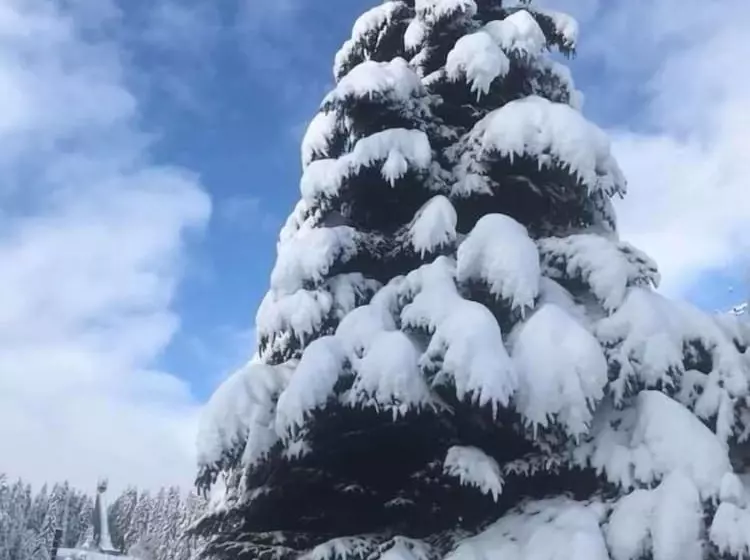 Hotelli Adlerschanze