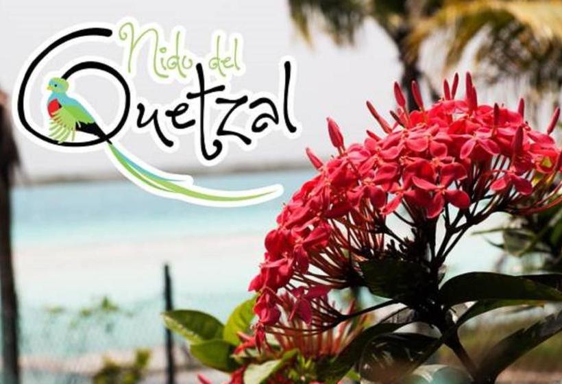 هتل Nido Del Quetzal