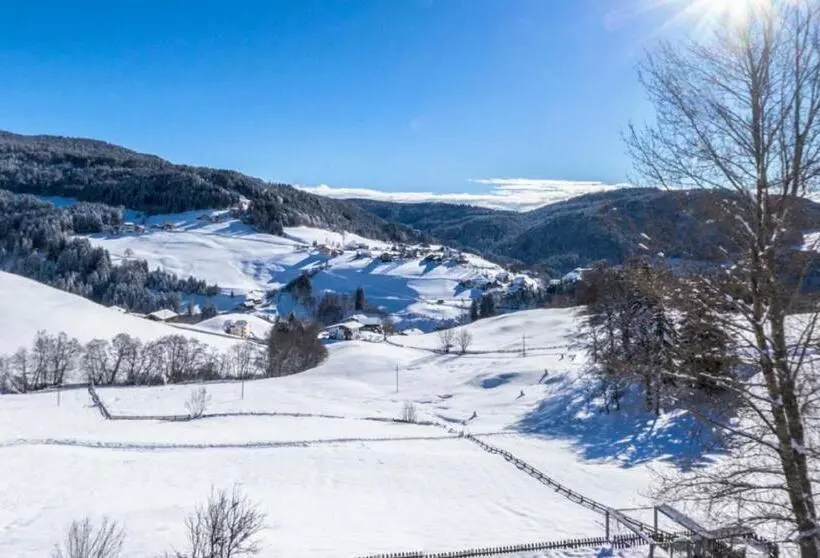 ホテル Sonnenheim