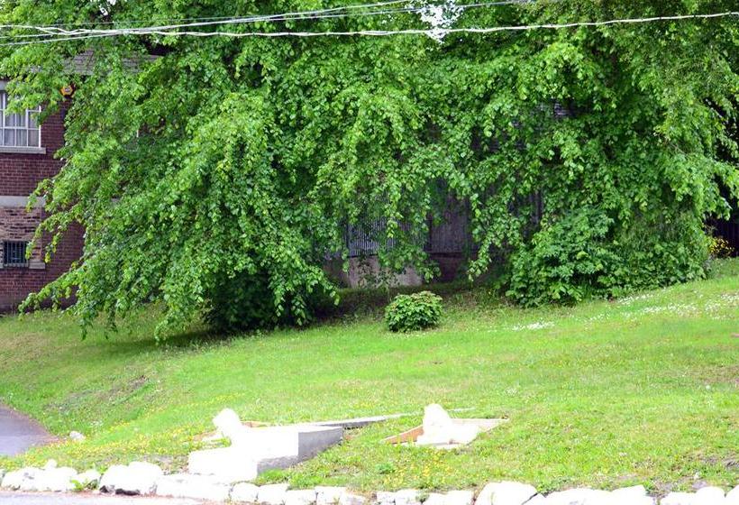 فندق Grainger House