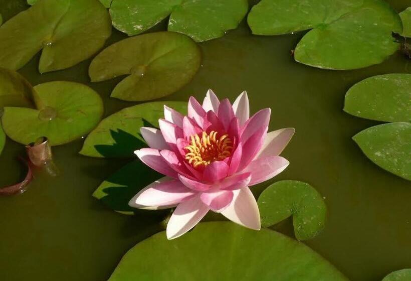 צימר La Quercia E Il Gelso