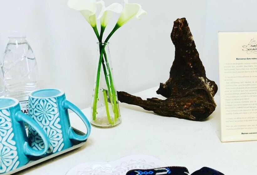 Bed and Breakfast Chambres D Hôtes Les Arums De Sanguinet