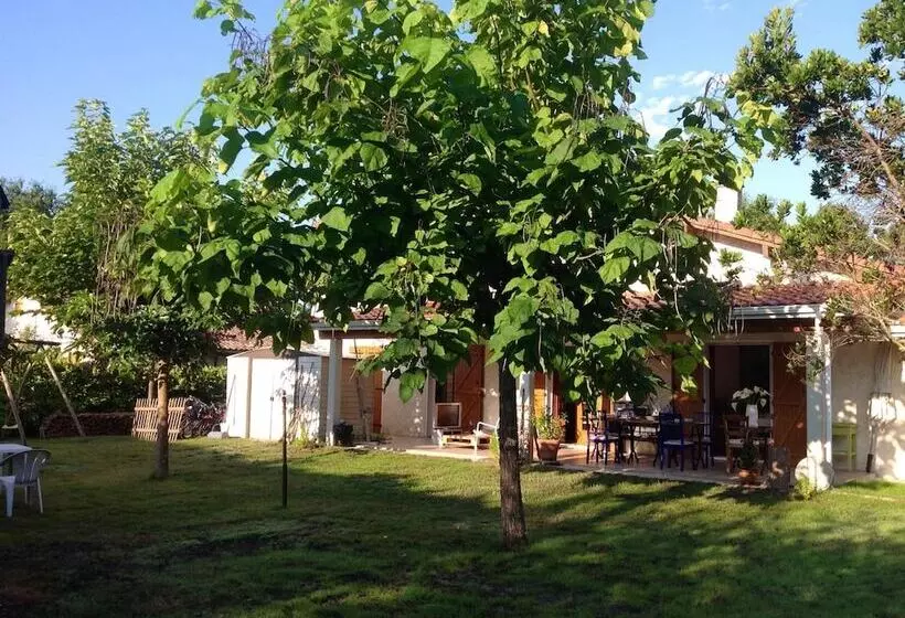 ベッドアンドブレックファースト Chambres D Hôtes Les Arums De Sanguinet