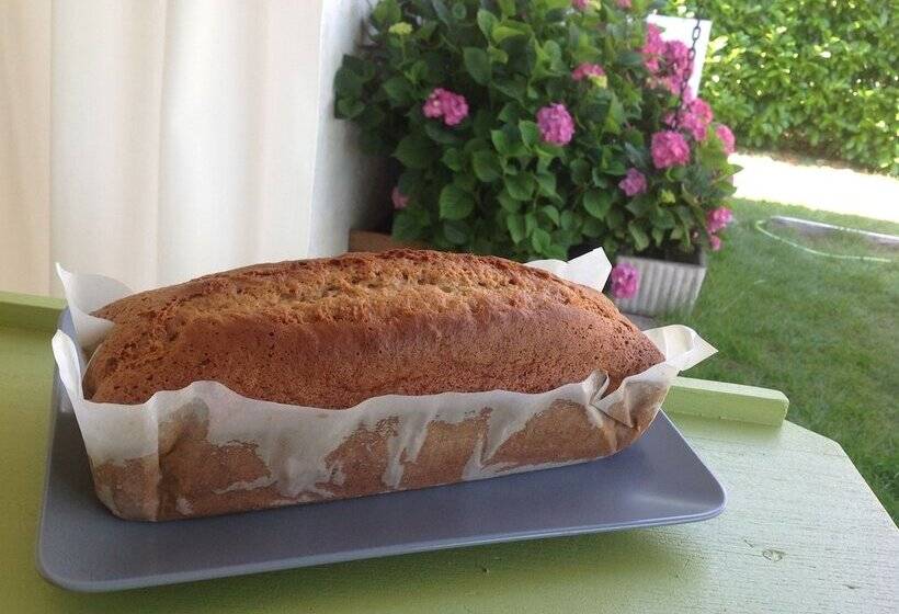 Bed and Breakfast Chambres D Hôtes Les Arums De Sanguinet