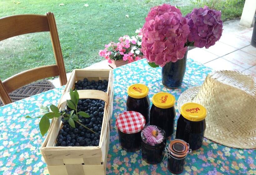 Bed and Breakfast Chambres D Hôtes Les Arums De Sanguinet
