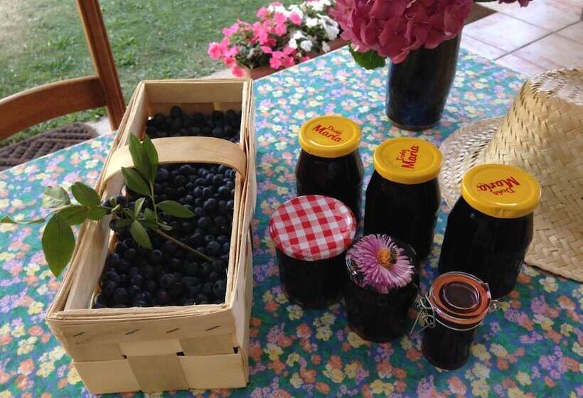 Bed and Breakfast Chambres D Hôtes Les Arums De Sanguinet