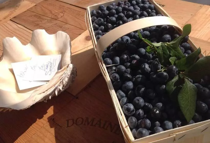 ベッドアンドブレックファースト Chambres D Hôtes Les Arums De Sanguinet