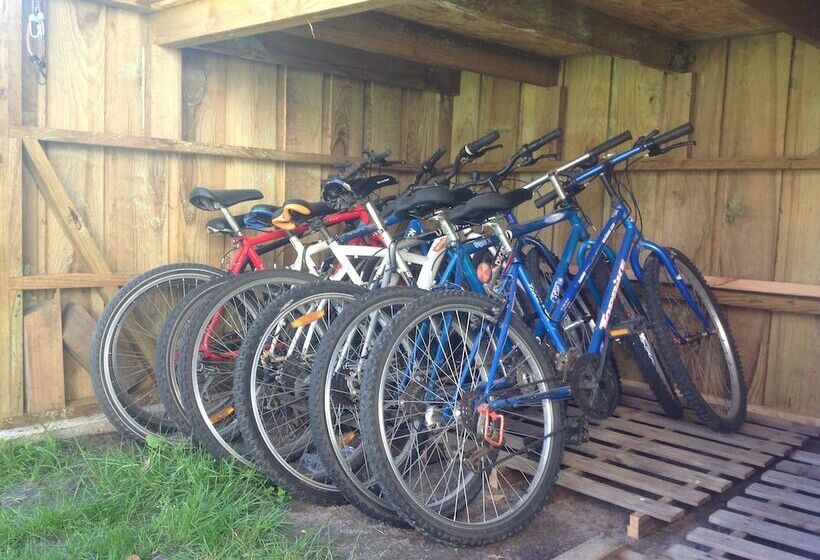 Bed and Breakfast Chambres D Hôtes Les Arums De Sanguinet