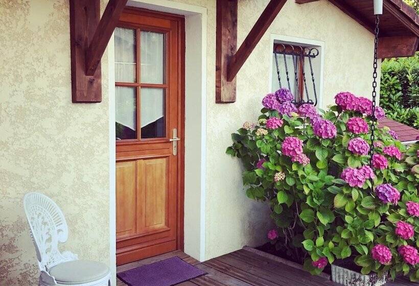 Bed and Breakfast Chambres D Hôtes Les Arums De Sanguinet