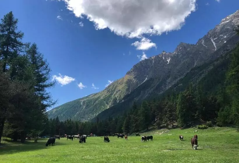 Aamiaismajoitus (B&B) Maison Constance