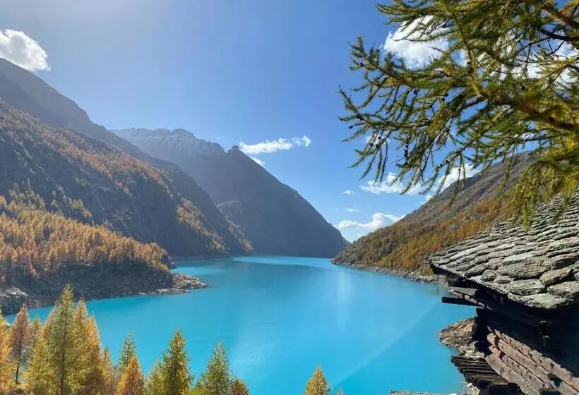 Aamiaismajoitus (B&B) Maison Constance