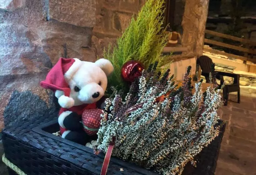 Aamiaismajoitus (B&B) Maison Constance